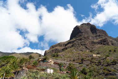 Tenerife - Masca 'nın harika köyü - Kanarya Adası - İspanya
