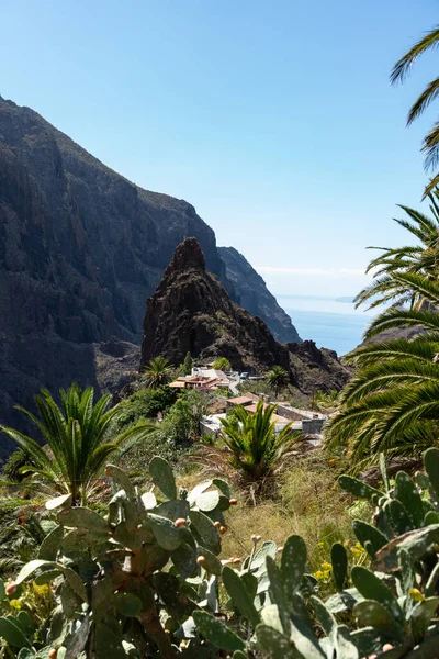 Tenerife Masca Nın Harika Köyü Kanarya Adası Spanya — Stok fotoğraf