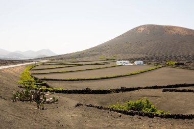 La Geria - Lanzarote 'deki Vinery bölgesi