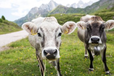 Venedik - sihirli bir şehrin gizli detayları