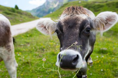 Venedik - sihirli bir şehrin gizli detayları