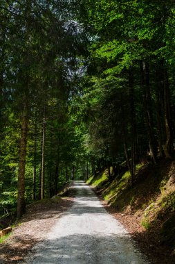 Venedik - sihirli bir şehrin gizli detayları