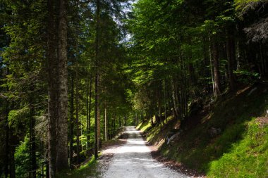 Venedik - sihirli bir şehrin gizli detayları