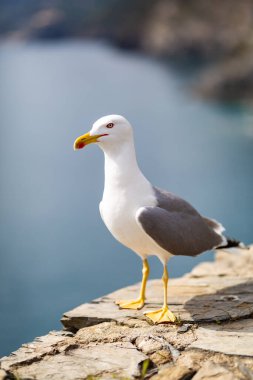 Venedik - sihirli bir şehrin gizli detayları