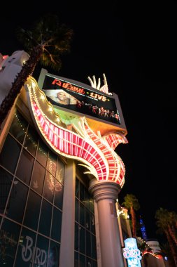 Venedik - sihirli bir şehrin gizli detayları