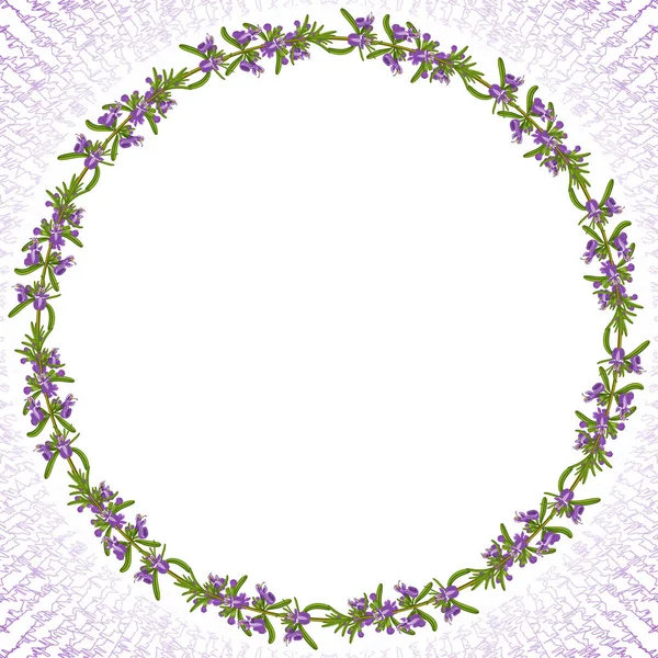 Scheda cerchio fiori di rosmarino — Vettoriale Stock