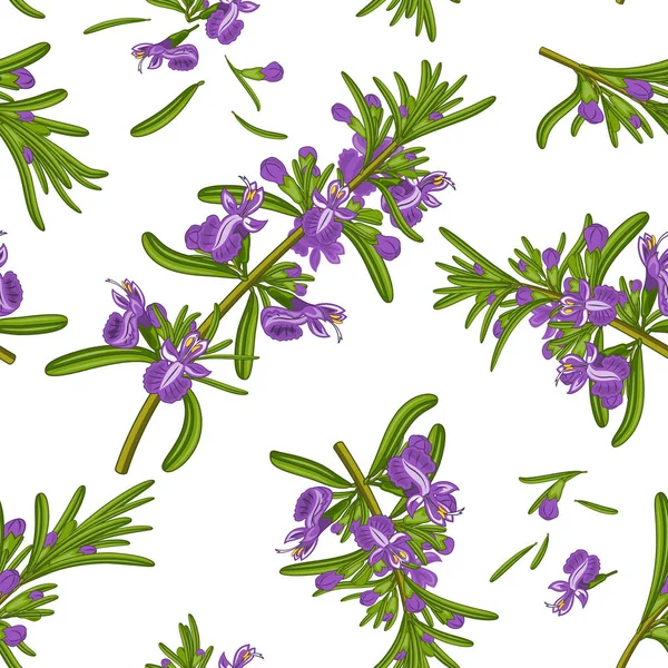 Flores de romero textura sin costura — Vector de stock