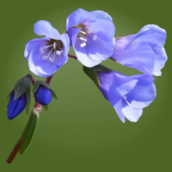 Flores Gregas Valerianas Ilustração Malha —  Vetores de Stock