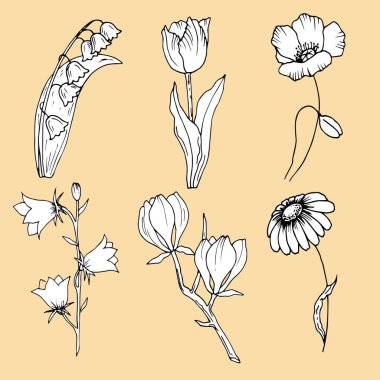 Siyah beyaz çiçekli kökler