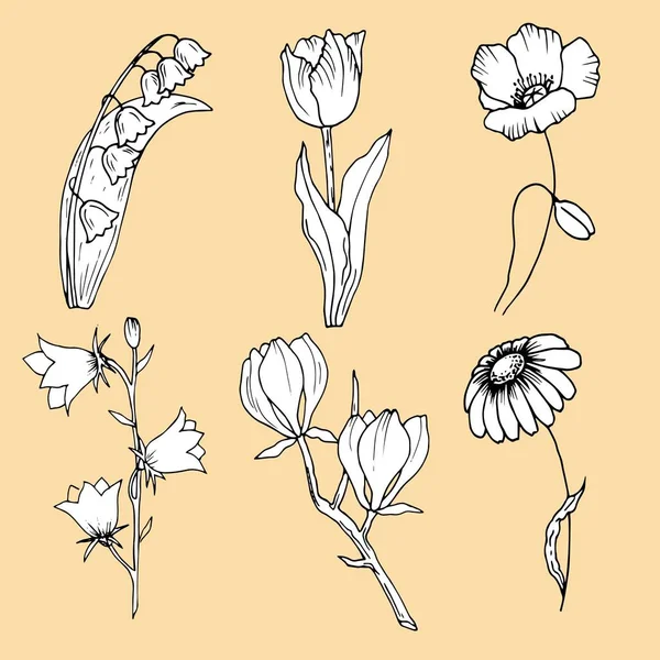 Stems Flowers Black White — Stock Vector