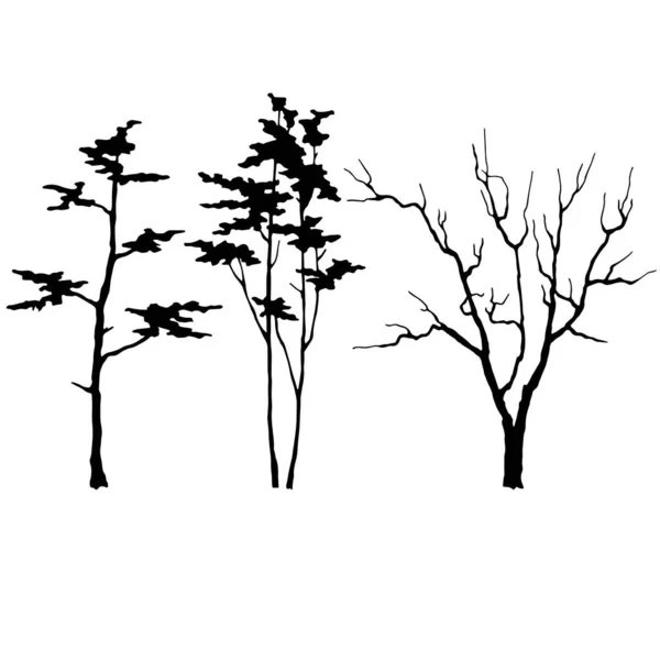 Silhouette Trees Black Vector Illustration — Stock Vector