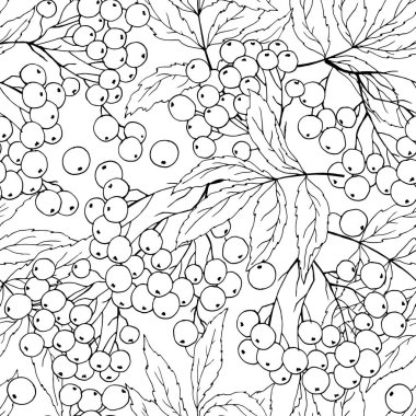 Siyah beyaz Rowan dalları ile kusursuz desen, Duvar kağıdı ve kumaşlar için süs, ambalaj kağıdı, farklı tasarım için arka plan