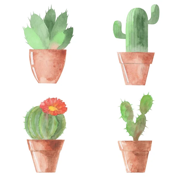 Kaktus Set Akvarell Mönster Kaktus Vit Bakgrund — Stockfoto