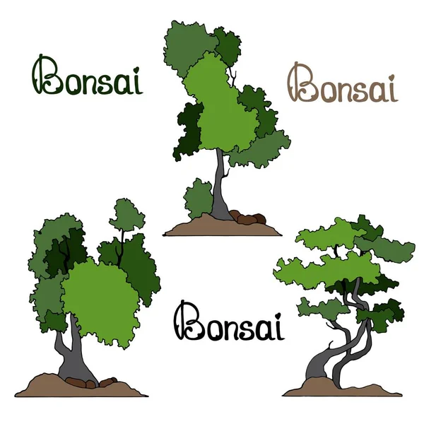 Home Árvore Pequena Bonsai Ilustração Vetorial Isolado Fundo Branco — Vetor de Stock