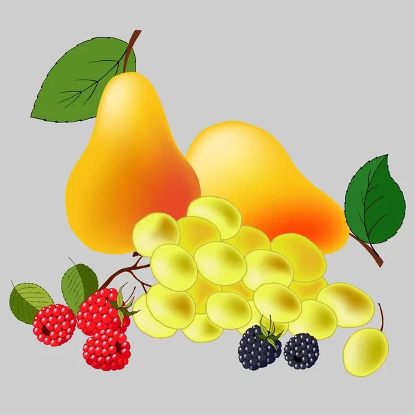 各种水果的静止不动的生活 载体图解 在灰色背景上分离 — 图库矢量图片