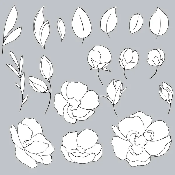 Set Painted Flower Elements Graphic Vector Illustration Isolate Gray Background — Stock Vector