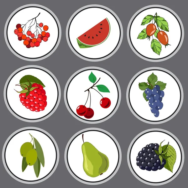 一组成熟的水果和浆果 向量图解 在灰色背景下分离 — 图库矢量图片