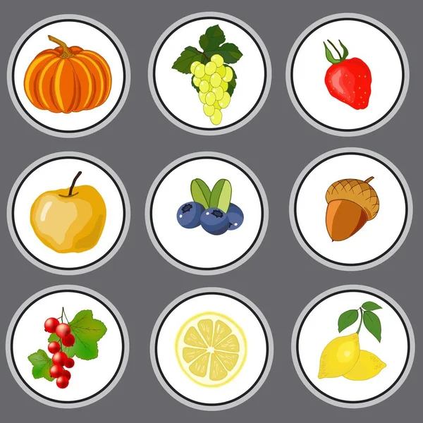 Ensemble Fruits Mûrs Baies Illustration Vectorielle Isoler Sur Fond Gris — Image vectorielle