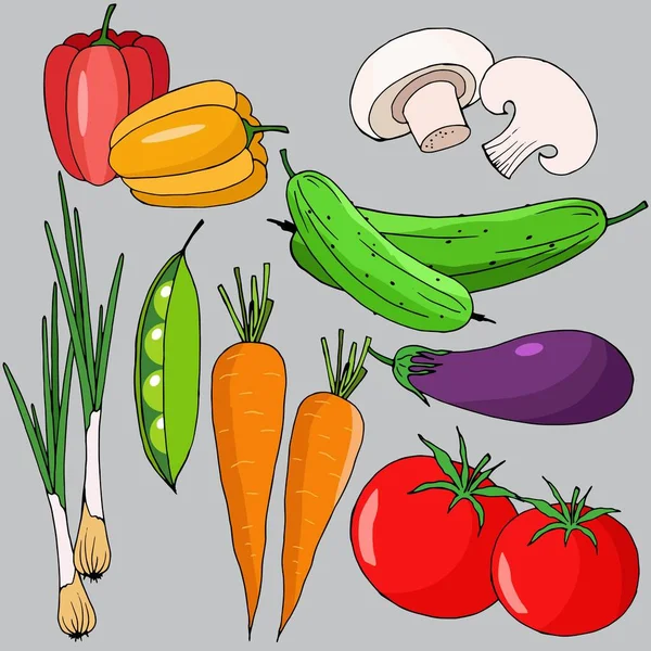 一组不同颜色的蔬菜 矢量图解 在灰色背景上分离 — 图库矢量图片