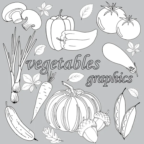 Ensemble Légumes Différents Dans Style Graphique Illustration Vectorielle Isoler Sur — Image vectorielle