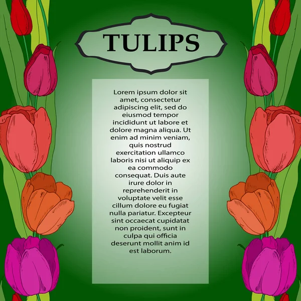 Fondo Para Texto Con Colores Brillantes Tulipanes — Vector de stock