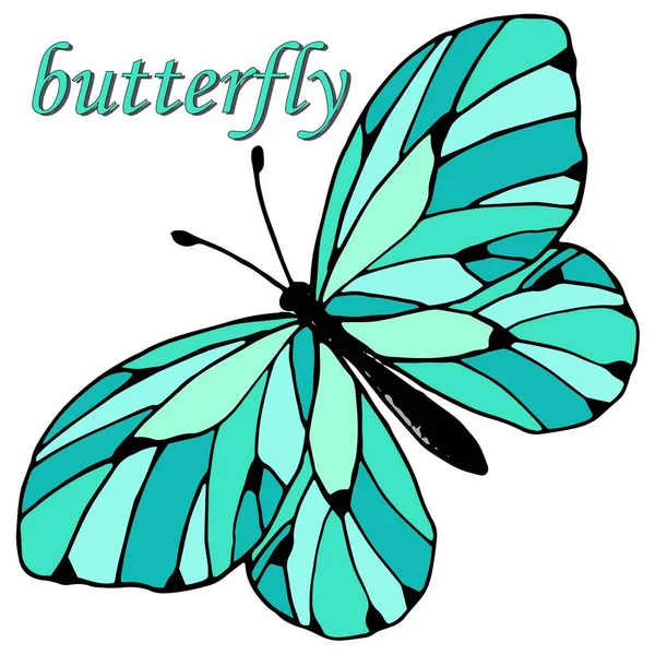 Grafická Kresba Motýla Vektorová Ilustrace Izolovat Bílém Pozadí — Stockový vektor