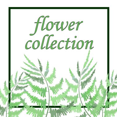 eğreltiotu yapraklı arkaplan, yazıt için afiş, farklı tasarım için vektör illüstrasyonu