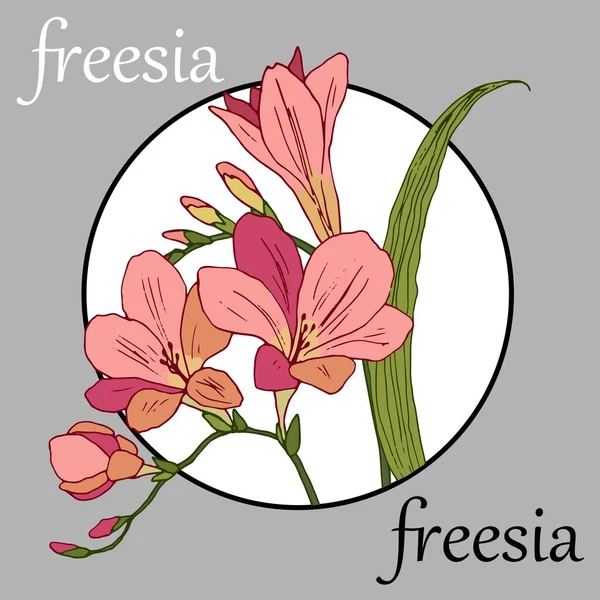 Freesia Branch Color Icon Web Mobile Design Vector Illustration Different — 스톡 벡터