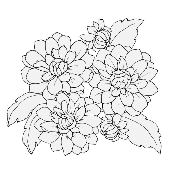 Blomsterarrangemang Monokroma Färger Med Blommor Pràstkragar Vektor Illustration För Olika — Stock vektor