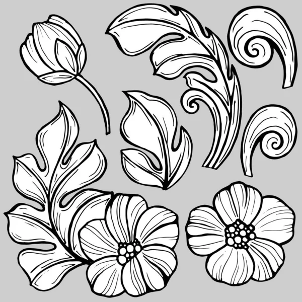 Stylized Flowers Curls Leaves Monochrome Colors Vector Illustration Different Design — Stock Vector