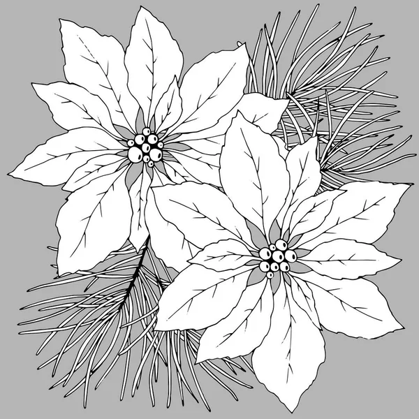Kerstbloemen Met Dennentakken Zwart Wit Vectorillustratie Voor Verschillend Design — Stockvector