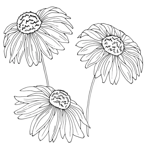 Tekening Van Kamille Bloemen Monochrome Kleuren Vector Illustratie Voor Verschillende — Stockvector