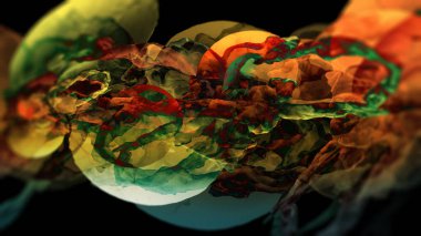 Bir çiçeğe yakın çekim