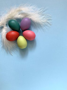 colored festive easter eggs on a colored background