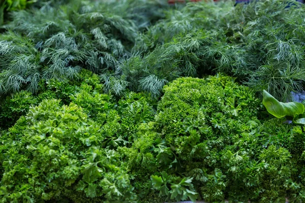 Bir sürü yeşillik, dereotu, maydanoz, fesleğen, kişniş....