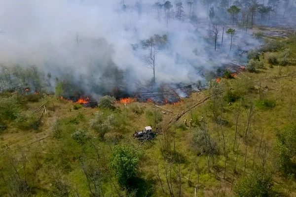 Forest fire, smoke of surrounding area. smoke and fire.