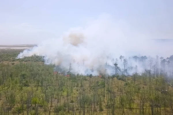 Лесной пожар, дым окрестностей. дым и огонь . — стоковое фото