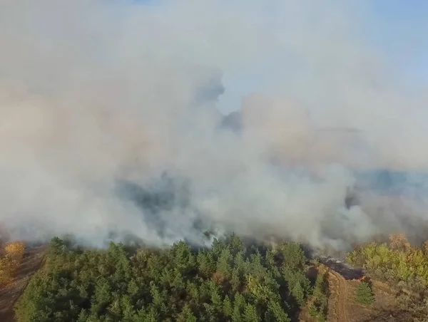 Incendio boschivo, fumo della zona circostante. fumo e fuoco . — Foto Stock