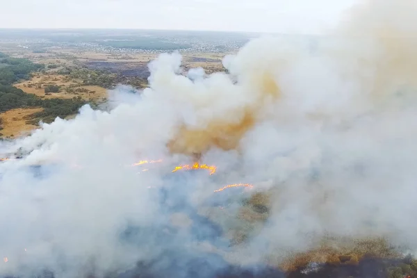 Forest fire, smoke of surrounding area. smoke and fire.