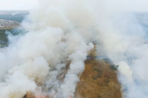Лесной пожар, дым окрестностей. дым и огонь . — стоковое фото