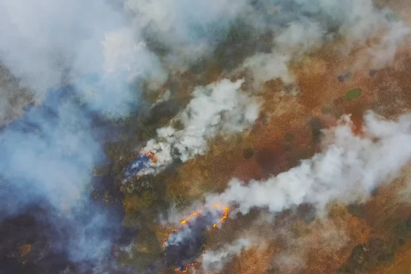 Incendio forestal, humo de los alrededores. humo y fuego . — Foto de Stock