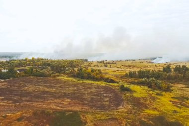 Steppe yangını. Yanan kuru otlar, ateş dumanı