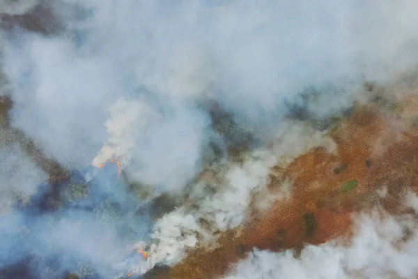 Incendio forestal, humo de los alrededores. humo y fuego . — Foto de Stock