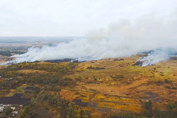 Fogo florestal, fumo da área circundante. fumaça e fogo . — Fotografia de Stock