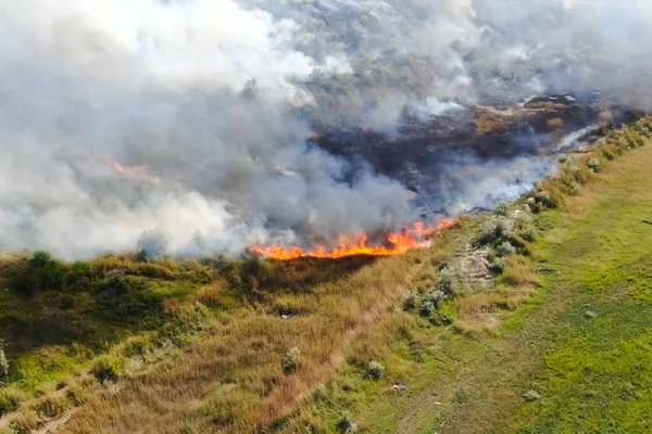 Feu de steppe. Brûler l'herbe sèche, fumée de feu — Photo