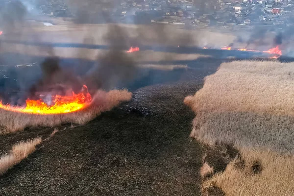 Fuego de estepa. Hierba seca ardiendo, humo de fuego — Foto de Stock