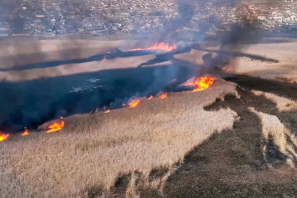 Fuego de estepa. Hierba seca ardiendo, humo de fuego — Foto de Stock