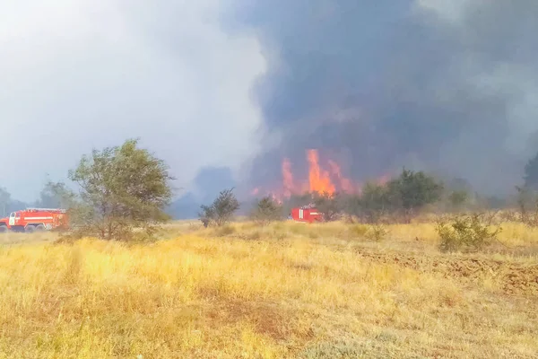 Steppe fire. Burning dry grass, fire smoke — Stock Photo, Image