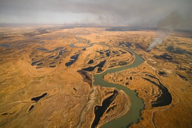 Tundra yangını. Kuru çimenler ve turba bataklıkları, ateş ve duman yanıyor