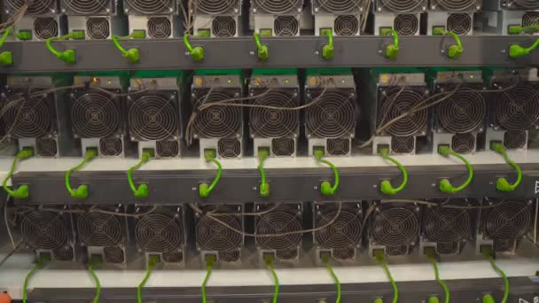 Mining Farm Video Cards Asiki Mining Farm — Stock Video